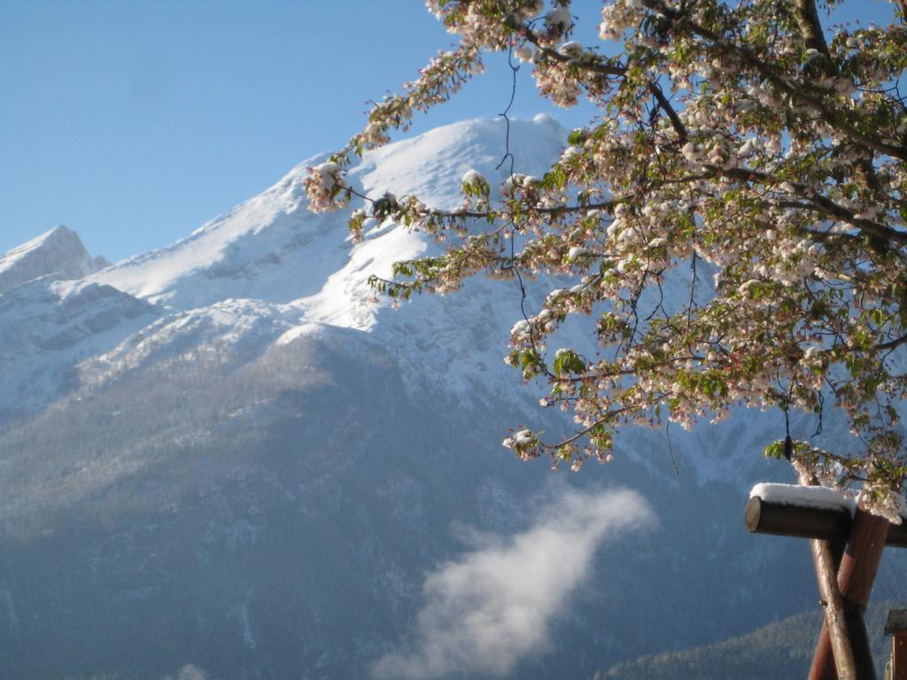 Hotel-Gasthof Nutzkaser Ramsau bei Berchtesgaden Kültér fotó