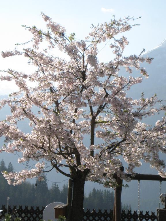 Hotel-Gasthof Nutzkaser Ramsau bei Berchtesgaden Kültér fotó